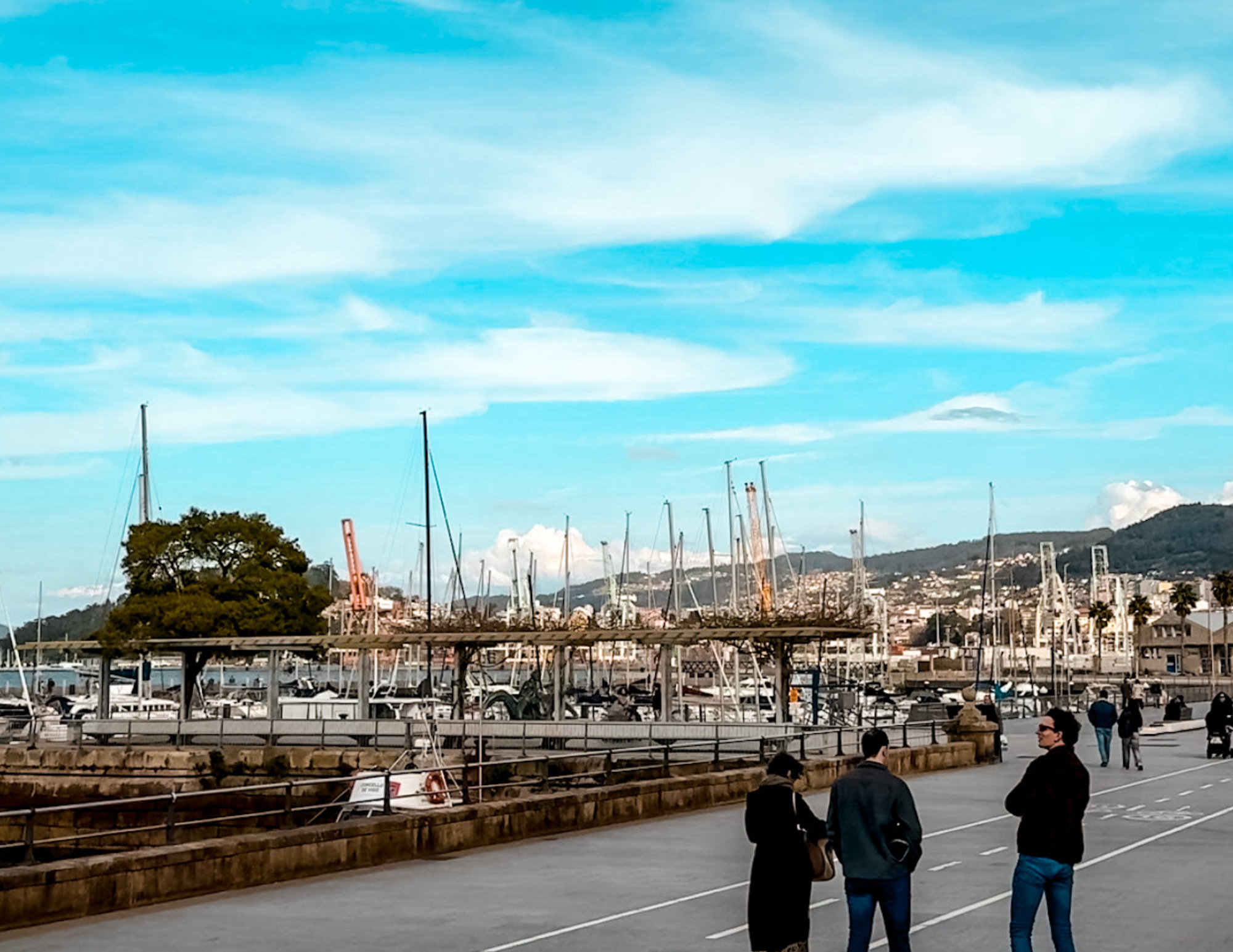 Vigo Travel Guide.png